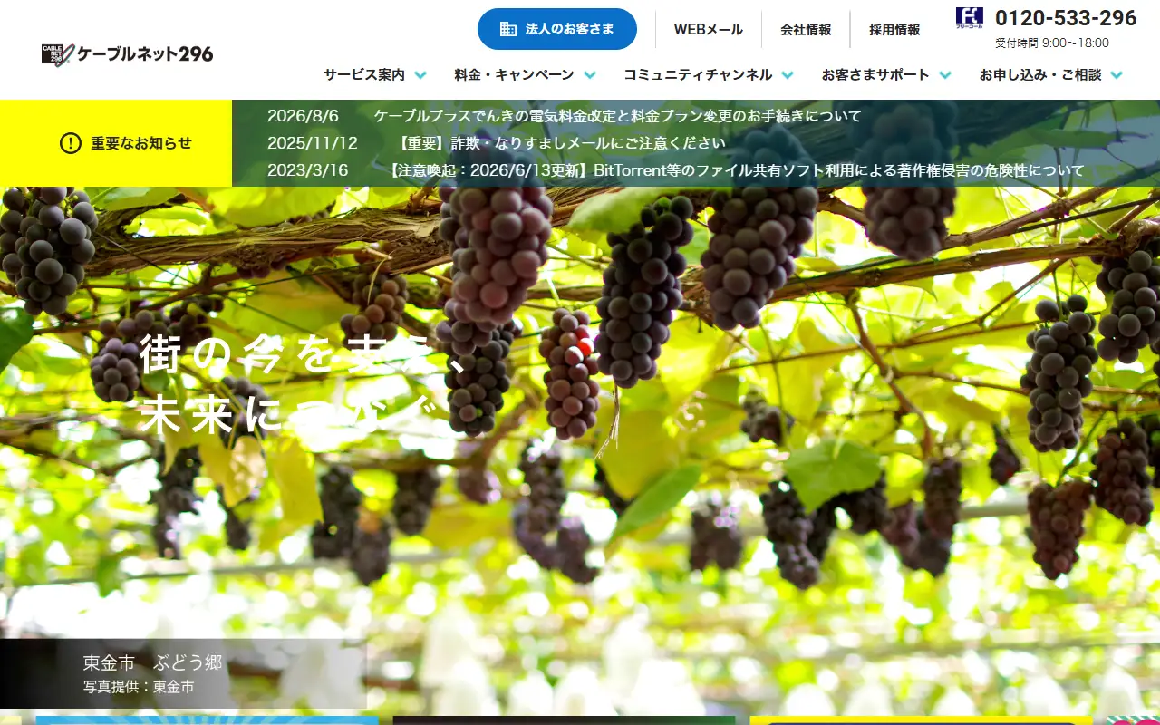 株式会社広域高速ネット二九六の公式サイトの画面(PC)