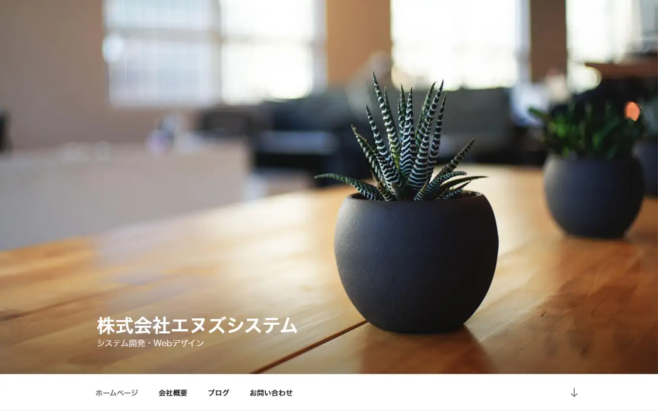 株式会社エヌズシステムの公式サイトの画面(PC)