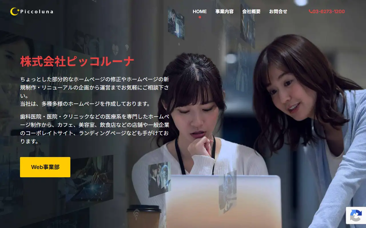 株式会社ピッコルーナの公式サイトの画面(PC)