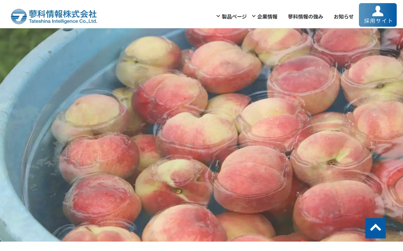 蓼科情報株式会社の公式サイトの画面(PC)
